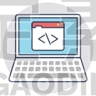 Custom Coding