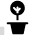 Decorative Plant