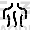 spinal code