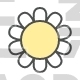 Flower, Daisy, Blossom, Nature, Spring