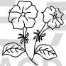 Flower Design