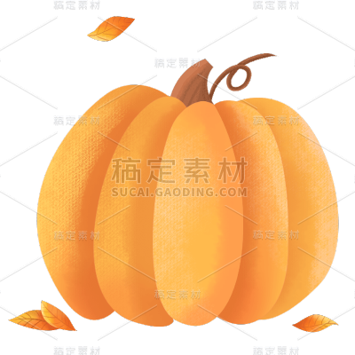 手绘-秋冬季节元素贴纸-南瓜