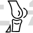 Knee Joint