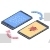 Bug Transfer