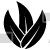 Wild Leaves Design