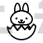 baby bunny