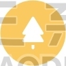 Pine