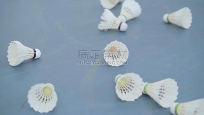 羽毛球