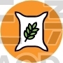 Wheat