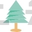 Pine Tree