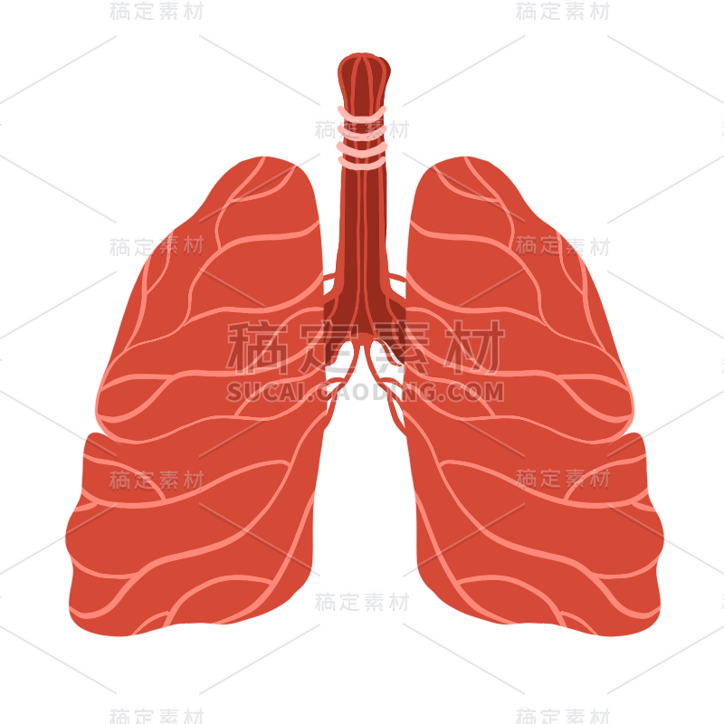 卡通风肺部医疗元素贴纸9
