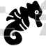 Sea Horse