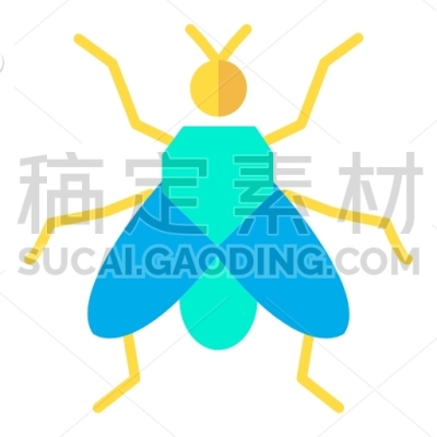 house fly