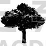 Eco Tree Design