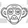 Chimpanzee