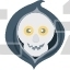 Halloween Skull
