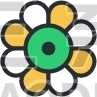 Blossom