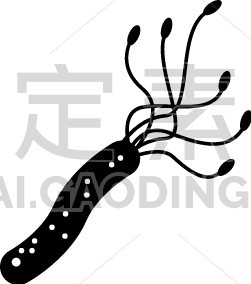 helicobacter pylori bacteria