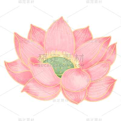 七夕节素材贴纸-荷花