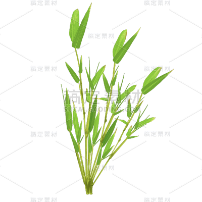 手绘-写实竹子竹叶植物元素贴纸10