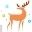 Reindeer