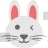 Bunny Emoji