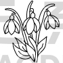 Flower Design