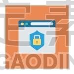 Website Security