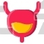 Bladder