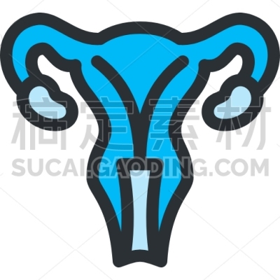 Uterus