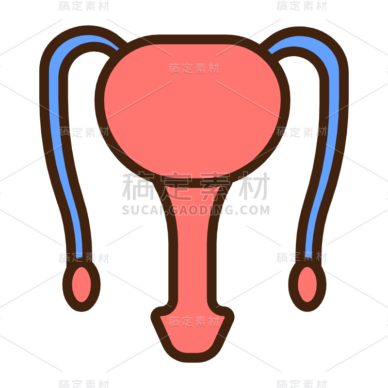 ICON-扁平矢量器官医疗icon-前列腺