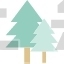 Pine Tree