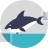 Whale