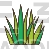 Grass