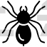 Wolf Spider