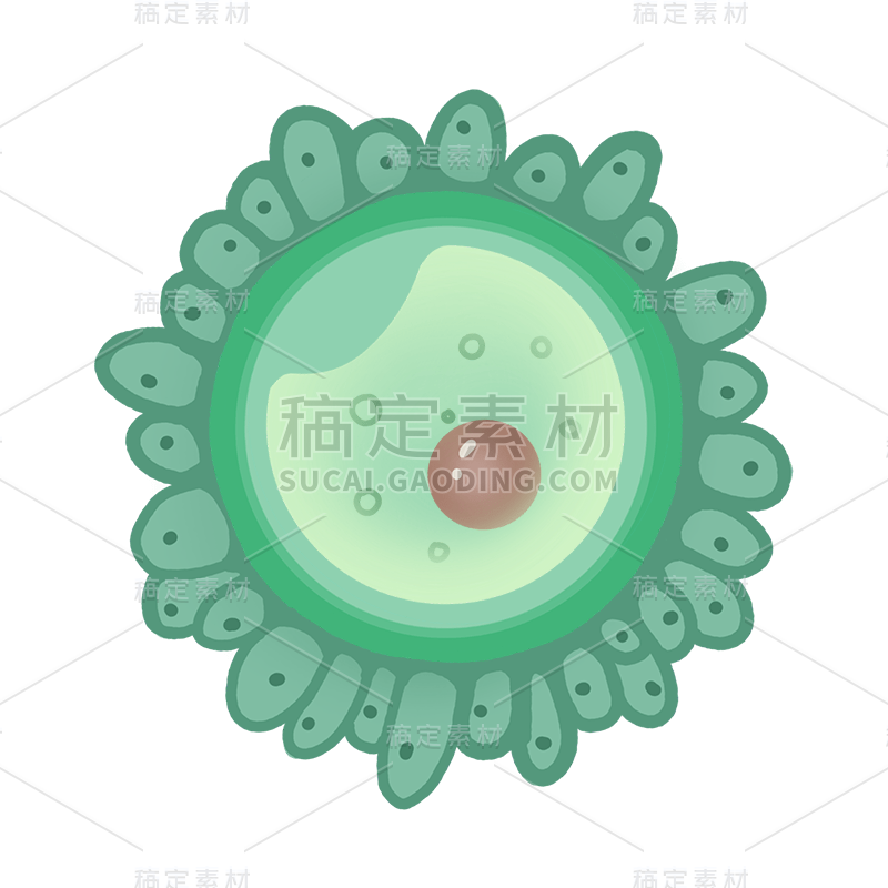 手绘-初高中课程辅导贴纸-单细胞