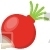 Red Turnip
