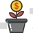 Dollar Plant