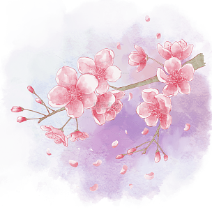 手绘粉色水彩樱花花朵插画元素2