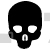 Human Skull