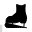 Skating shoe
