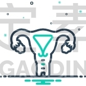 Uterus