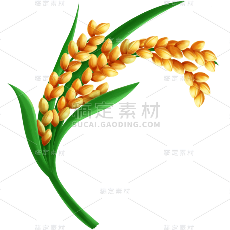 手绘风夏天芒种氛围贴纸