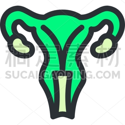 Uterus