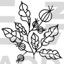 Flower Design