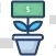 Money Plant