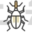 Weevil