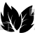 Leaves Design