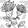 Flower Design