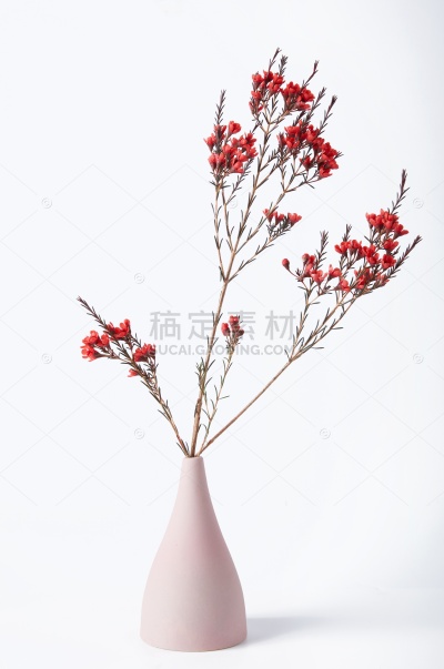 植物系列写实摆件植物